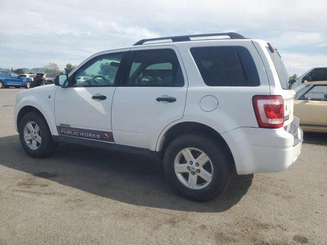 2008 Ford Escape HEV