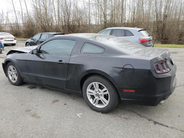 2013 Ford Mustang