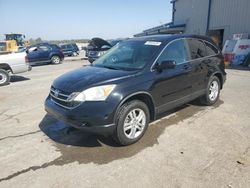 Salvage cars for sale at Memphis, TN auction: 2010 Honda CR-V EXL