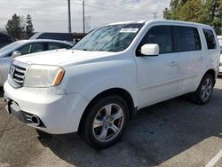 Honda Vehiculos salvage en venta: 2014 Honda Pilot EXL