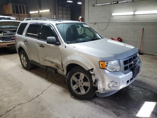 2009 Ford Escape XLT