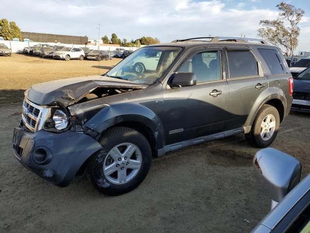 2008 Ford Escape HEV