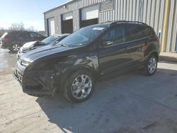 Salvage cars for sale at Cahokia Heights, IL auction: 2013 Ford Escape SEL