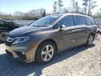 2019 Honda Odyssey EXL