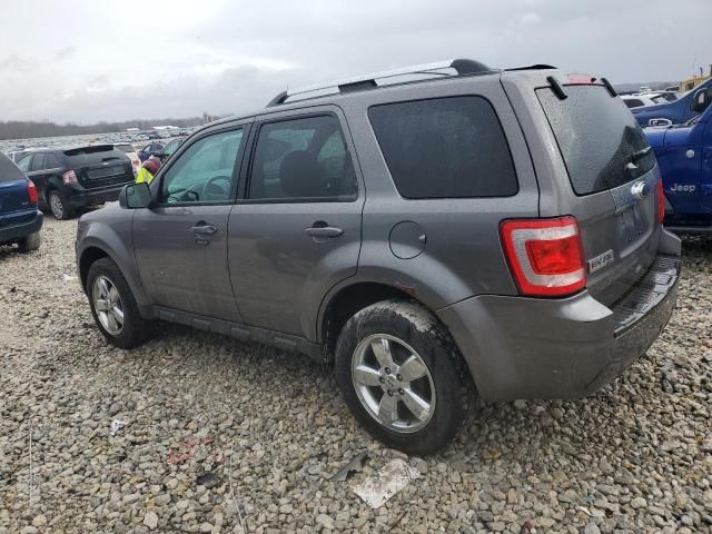 2011 Ford Escape Limited