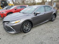 Salvage cars for sale at Marlboro, NY auction: 2024 Toyota Camry XLE