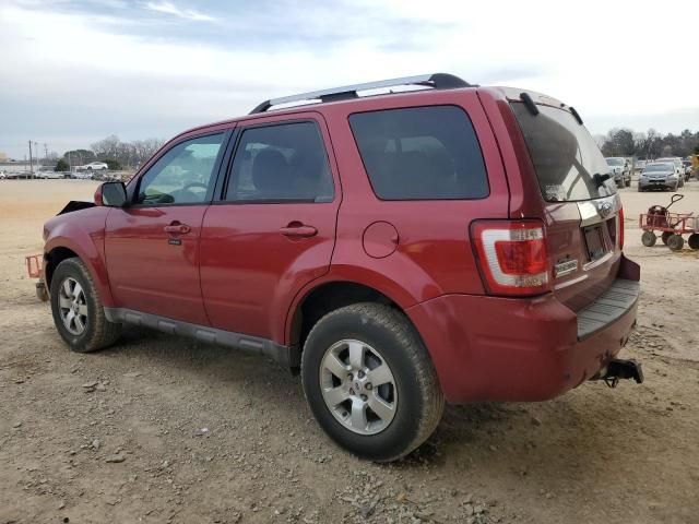 2009 Ford Escape Limited