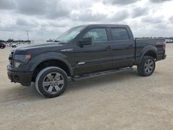 Salvage cars for sale at Arcadia, FL auction: 2013 Ford F150 Supercrew