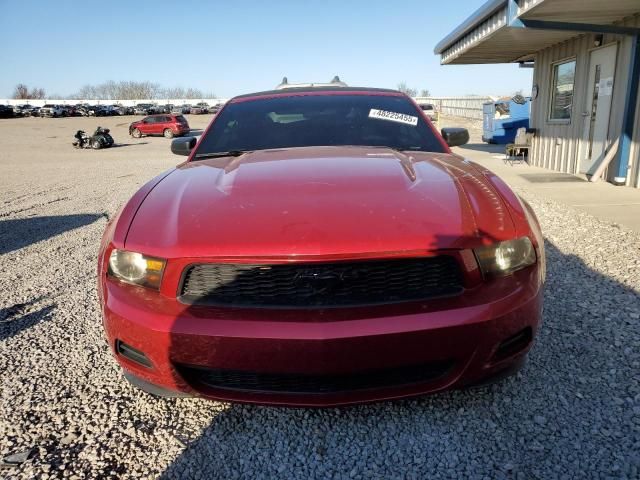 2010 Ford Mustang