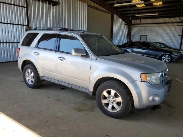 2009 Ford Escape Limited