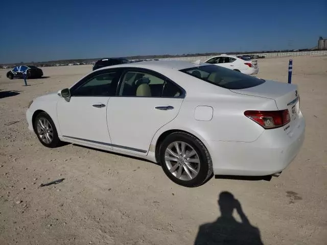 2010 Lexus ES 350