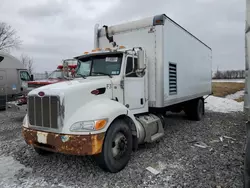 Salvage trucks for sale at Angola, NY auction: 2014 Peterbilt 337