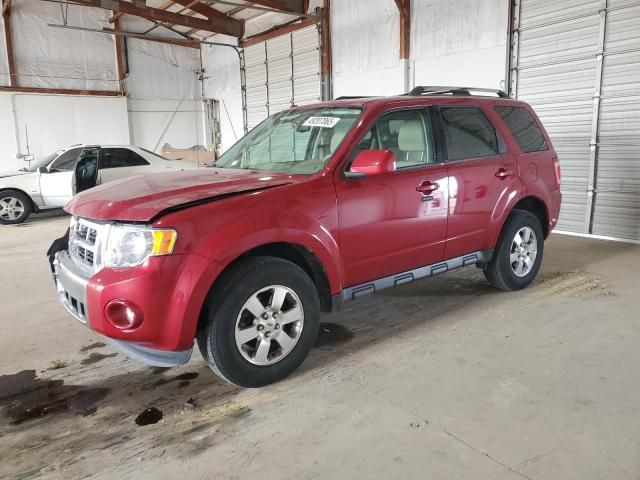 2011 Ford Escape Limited