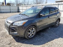 Salvage cars for sale at Walton, KY auction: 2015 Ford Escape Titanium