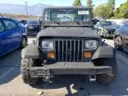 1990 Jeep Wrangler / YJ S