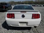 2006 Ford Mustang GT