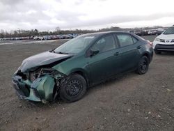 Salvage cars for sale at Lumberton, NC auction: 2014 Toyota Corolla L