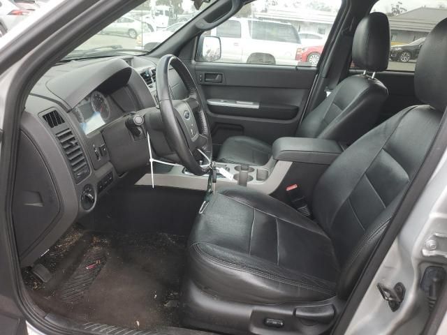 2009 Ford Escape XLT