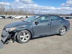 Toyota Camry Base salvage cars for sale: 2012 Toyota Camry Base