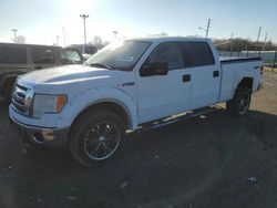 Salvage trucks for sale at Indianapolis, IN auction: 2010 Ford F150 Supercrew