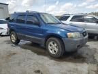 2007 Ford Escape XLT