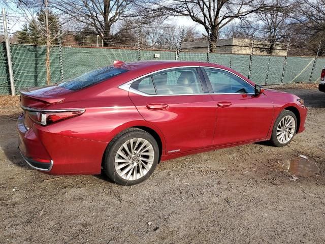 2020 Lexus ES 300H Luxury