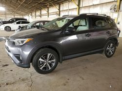 Salvage cars for sale at Phoenix, AZ auction: 2016 Toyota Rav4 XLE