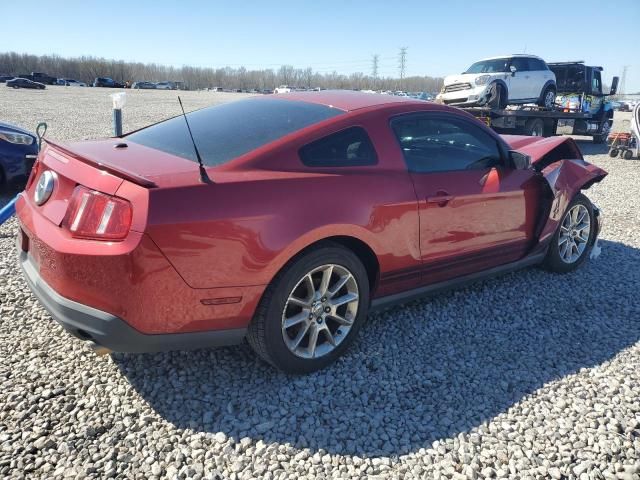 2010 Ford Mustang