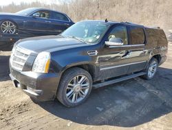 Salvage cars for sale at Marlboro, NY auction: 2012 Cadillac Escalade ESV Platinum