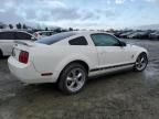 2006 Ford Mustang