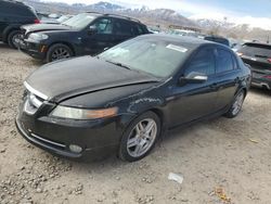 Salvage cars for sale at Magna, UT auction: 2008 Acura TL