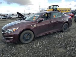 Salvage cars for sale at Eugene, OR auction: 2017 KIA Optima LX