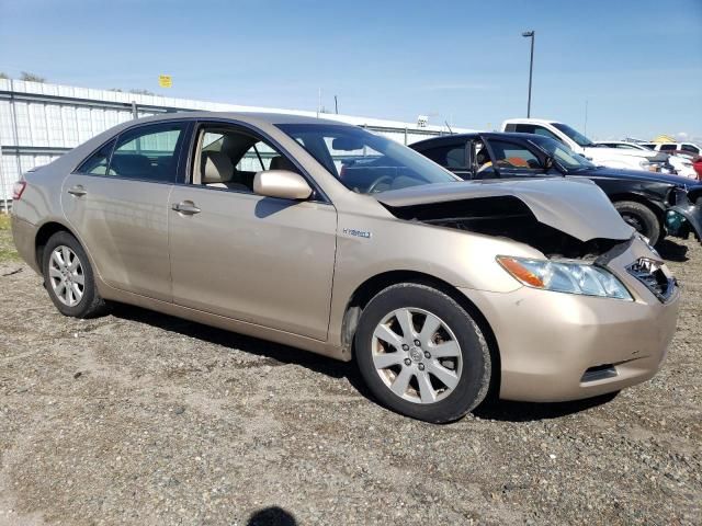 2009 Toyota Camry Hybrid