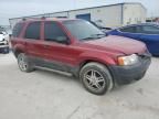 2003 Ford Escape XLS