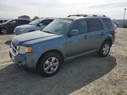 Ford salvage cars for sale: 2010 Ford Escape Limited