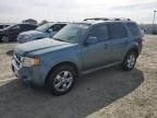 2010 Ford Escape Limited