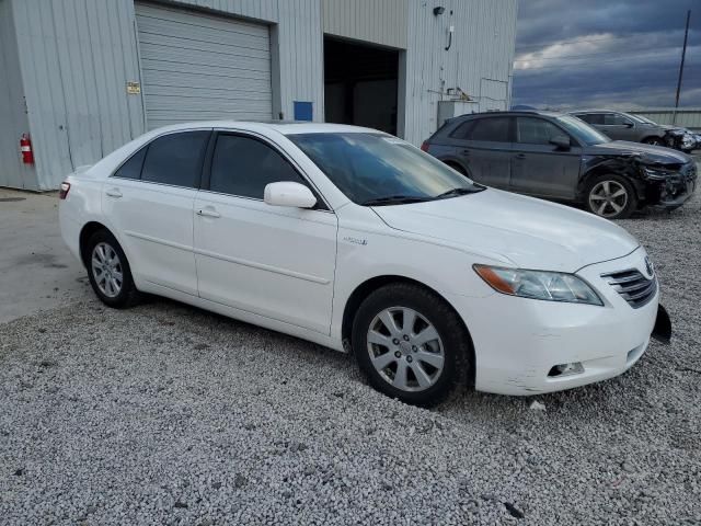 2009 Toyota Camry Hybrid