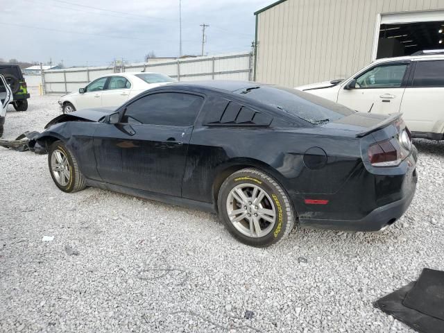 2010 Ford Mustang