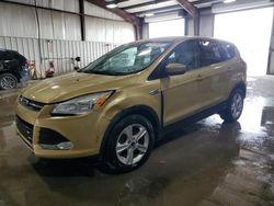 Salvage SUVs for sale at auction: 2014 Ford Escape SE