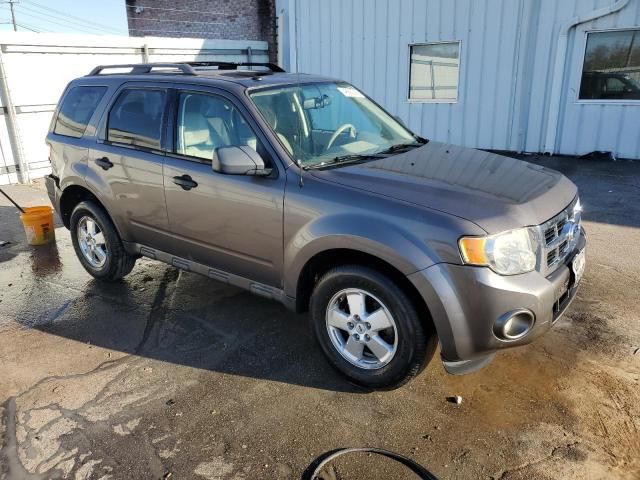 2012 Ford Escape XLT