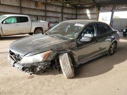 Salvage cars for sale at Phoenix, AZ auction: 2008 Honda Accord EXL