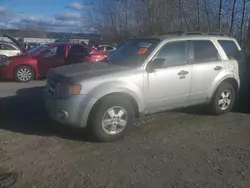 2011 Ford Escape XLT en venta en Arlington, WA