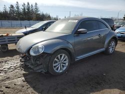 Volkswagen Vehiculos salvage en venta: 2015 Volkswagen Beetle 1.8T