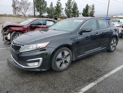 Salvage cars for sale at Rancho Cucamonga, CA auction: 2013 KIA Optima Hybrid