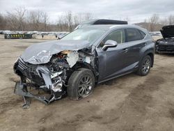 Salvage cars for sale at Marlboro, NY auction: 2019 Lexus NX 300H