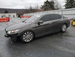 Salvage cars for sale at Grantville, PA auction: 2014 Honda Accord EX