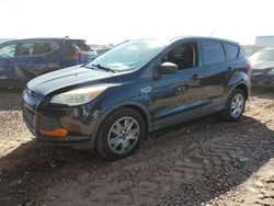 Salvage cars for sale at Phoenix, AZ auction: 2014 Ford Escape S