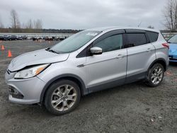 Run And Drives Cars for sale at auction: 2013 Ford Escape SEL