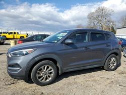 Hyundai salvage cars for sale: 2016 Hyundai Tucson SE