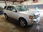 2010 Ford Escape Limited